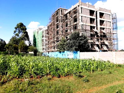 65x100 Plot for Sale in Kikuyu Thogoto - Image 6