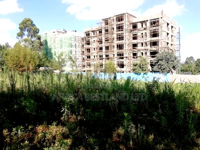 65x100 Plot for Sale in Kikuyu Thogoto - Image 3