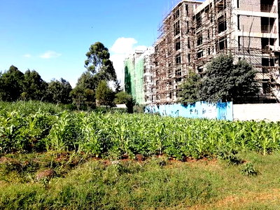 65x100 Plot for Sale in Kikuyu Thogoto - Image 5