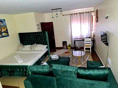 Furnished 1bdrm Bedsitter in Sanasana Area, South B for rent - Image 2