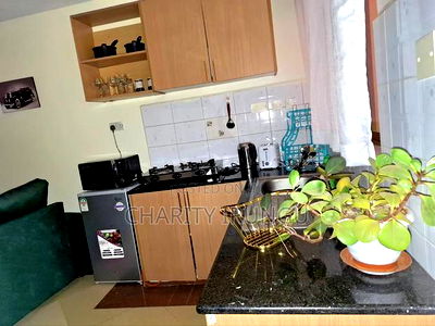 Furnished 1bdrm Bedsitter in Sanasana Area, South B for rent - Image 4