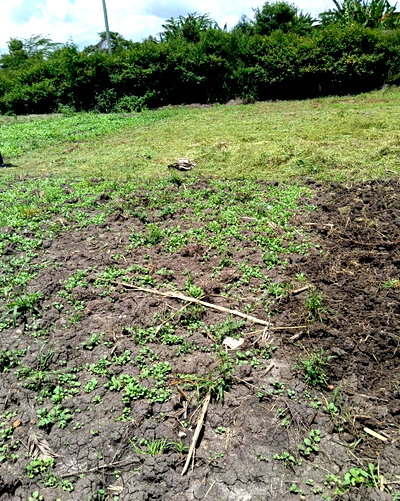 1-Acre Plot Near Kamulu at KSh 14.5M