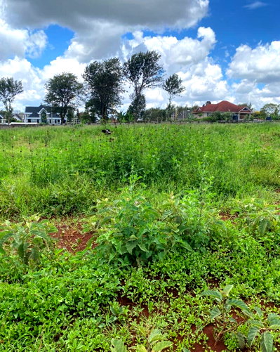 Garden Plot with Parking at KSh 25M
