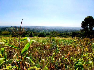 Distress Sale! Prime Redsoil Acre 200 MTRS Off Tarmac, Ngong - Image 1