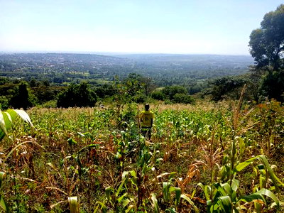 Distress Sale! Prime Redsoil Acre 200 MTRS Off Tarmac, Ngong - Image 3