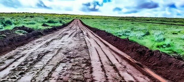 Affordable 50X100 Plot for Sale in Nachu - Kikuyu