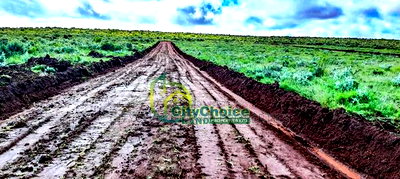 Affordable 50X100 Plot for Sale in Nachu - Kikuyu - Image 2