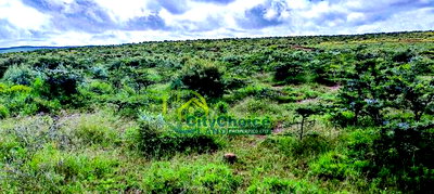 Affordable 50X100 Plot for Sale in Nachu - Kikuyu - Image 8