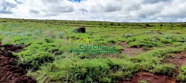 Affordable 50X100 Plot for Sale in Nachu - Kikuyu