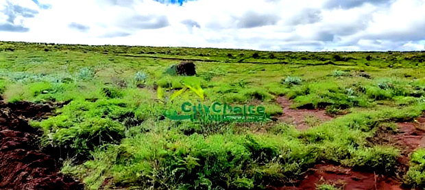Affordable 50X100 Plot for Sale in Nachu - Kikuyu