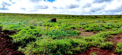 Affordable 50X100 Plot for Sale in Nachu - Kikuyu - Image 3