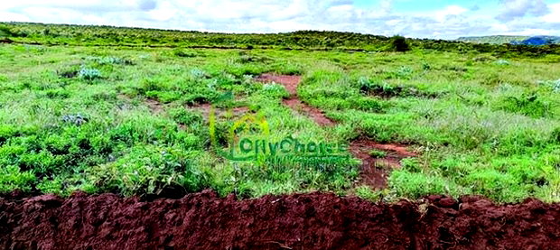 Affordable 50X100 Plot for Sale in Nachu - Kikuyu
