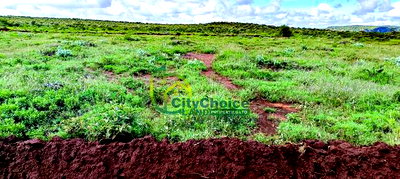 Affordable 50X100 Plot for Sale in Nachu - Kikuyu - Image 1