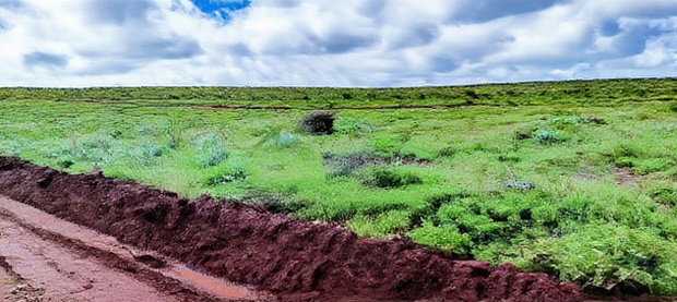 Affordable 50X100 Plot for Sale in Nachu - Kikuyu