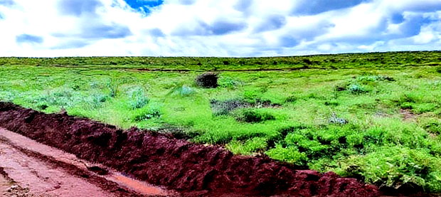 Affordable 50X100 Plot for Sale in Nachu - Kikuyu