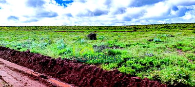 Affordable 50X100 Plot for Sale in Nachu - Kikuyu - Image 5