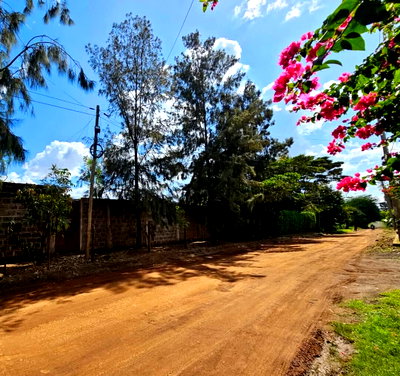Quarter Acre Plot in Membley Estate