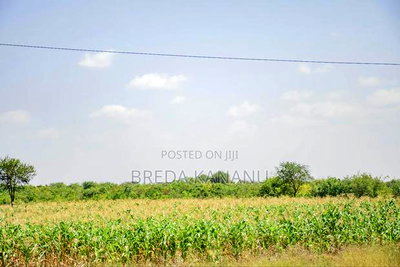 Prime Plots in Sofia Machakos - Image 1