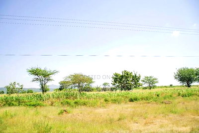 Prime Plots in Sofia Machakos - Image 2