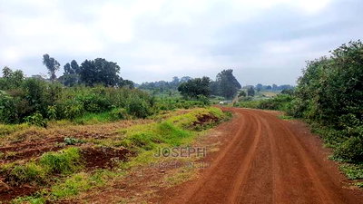 Redhill 1/4acres Serviced Controlled Plots - Image 6