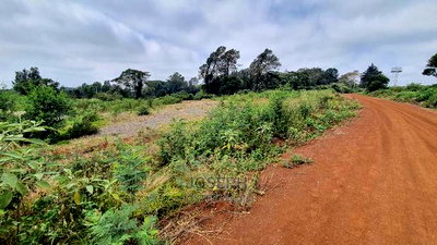 Redhill 1/4acres Serviced Controlled Plots - Image 11