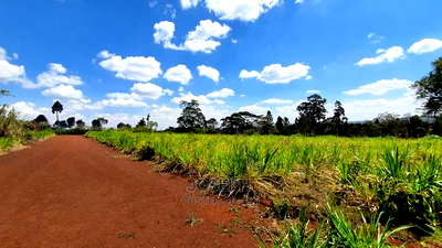 Redhill 1/4acres Serviced Controlled Plots - Image 1