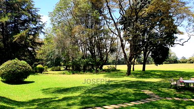 Redhill 1/4acres Serviced Controlled Plots - Image 12