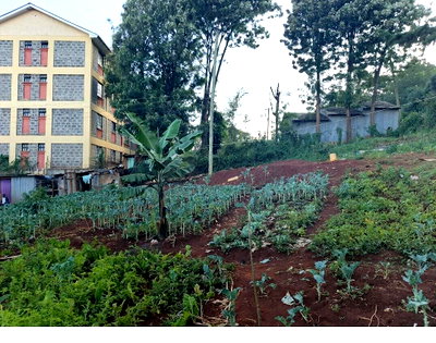 0.2 Acre Commercial Plot at KSh 12M