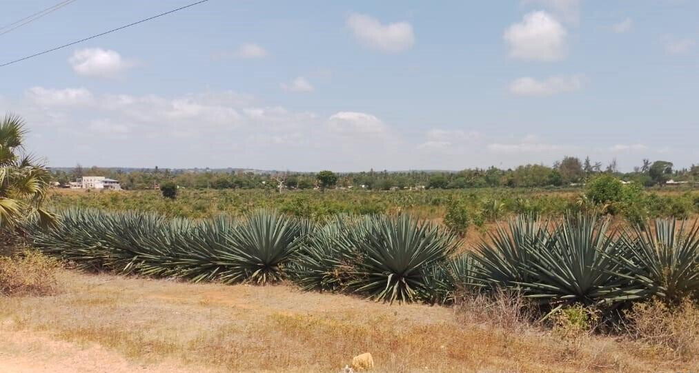 Quarter Acre in Vipingo for KSh 5M