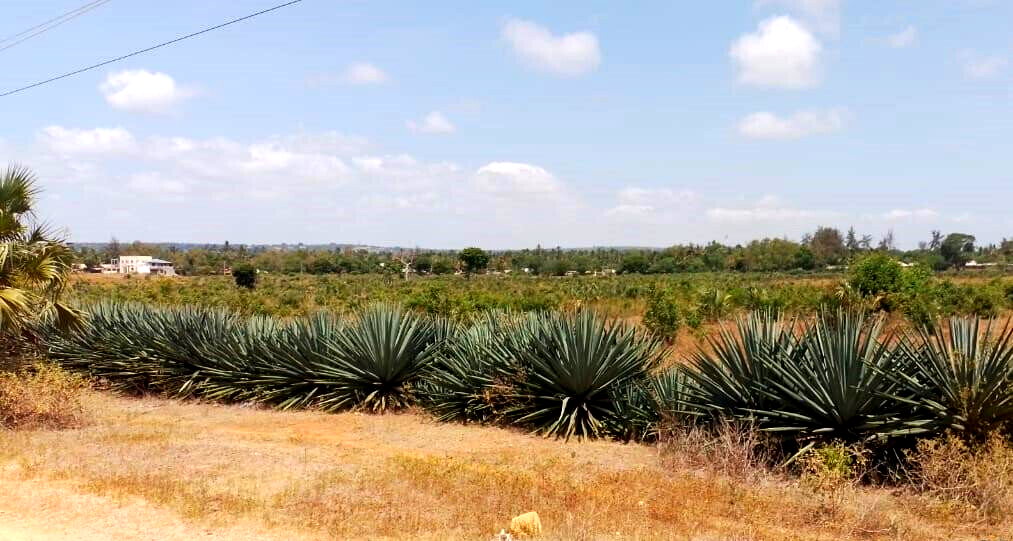Quarter Acre in Vipingo for KSh 5M