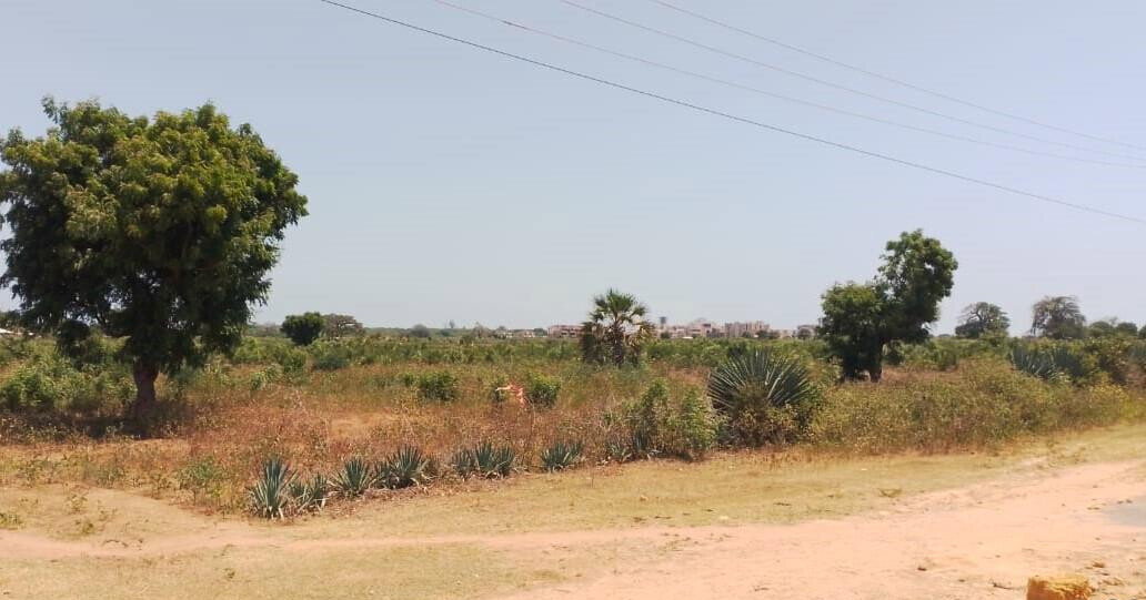 Quarter Acre in Vipingo for KSh 5M