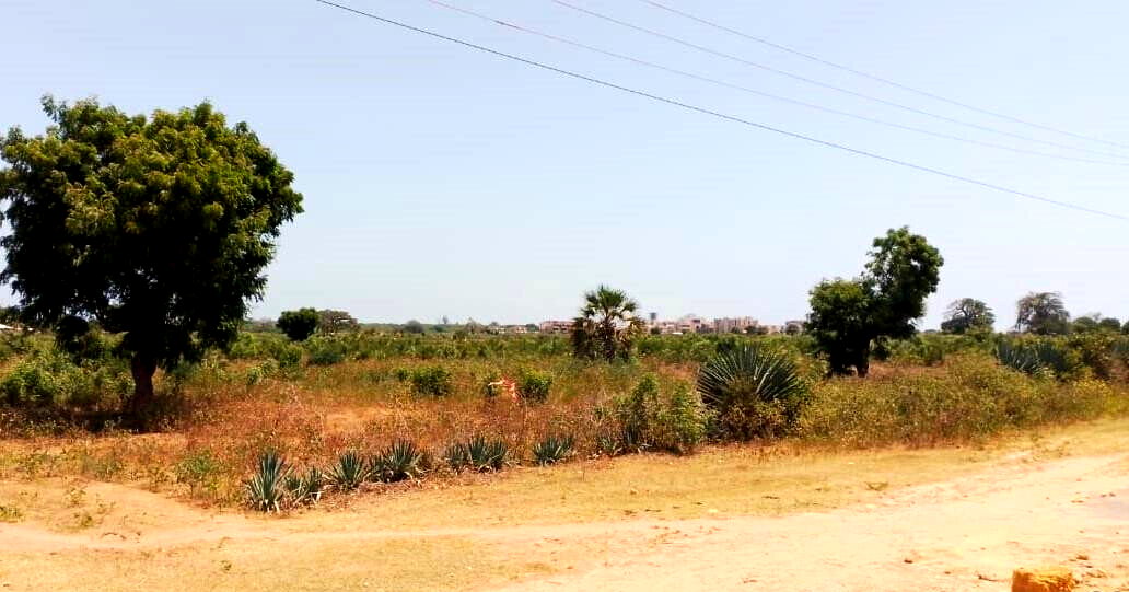 Quarter Acre in Vipingo for KSh 5M