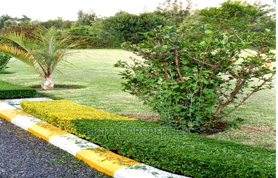 Furnished 3bdrm Farm House in Daiga Location, for sale - Image 4