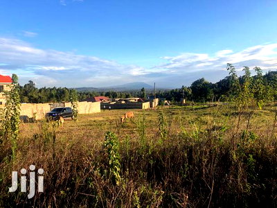 Prime Residential Plot for Sale in Kikuyu, Kamangu. - Image 8