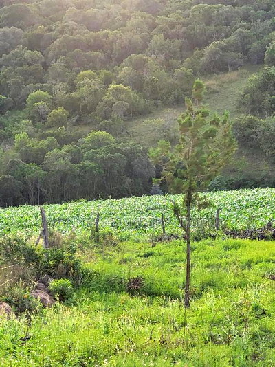 Land for Sale in Nyeri County - Image 1