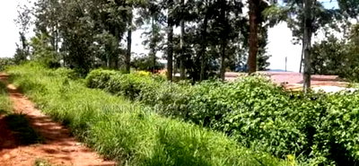 Land for Sale in Nyeri County - Image 3