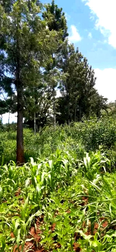 Land for Sale in Nyeri County - Image 2