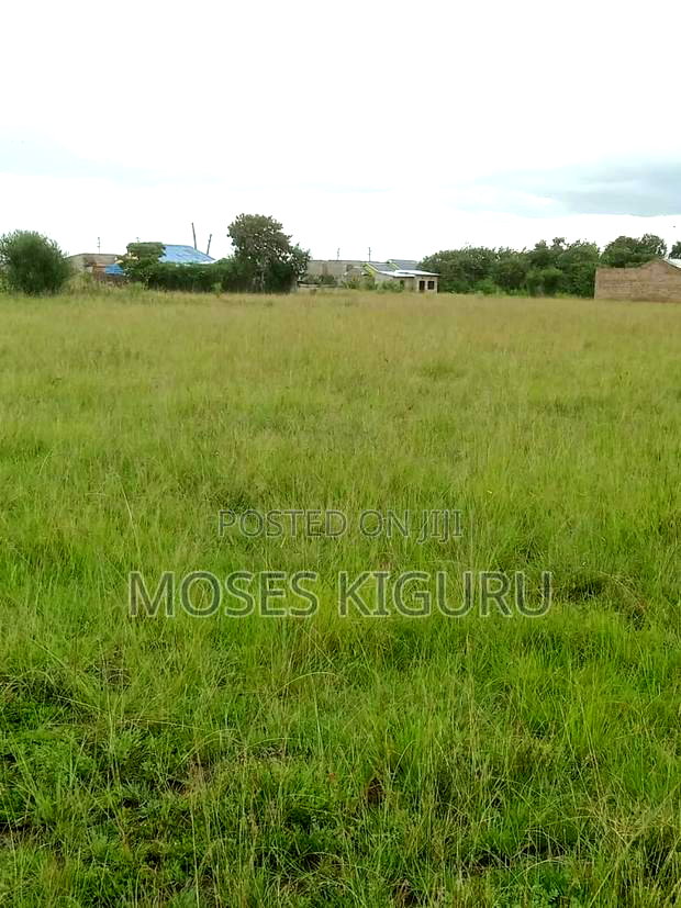 Muthaara 40x80 Prime Plots.