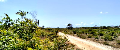 3/4 Acre Garden Plot at KSh 12.5M