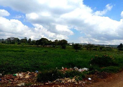 1.3-Acre Garden Plot in Ebulbul