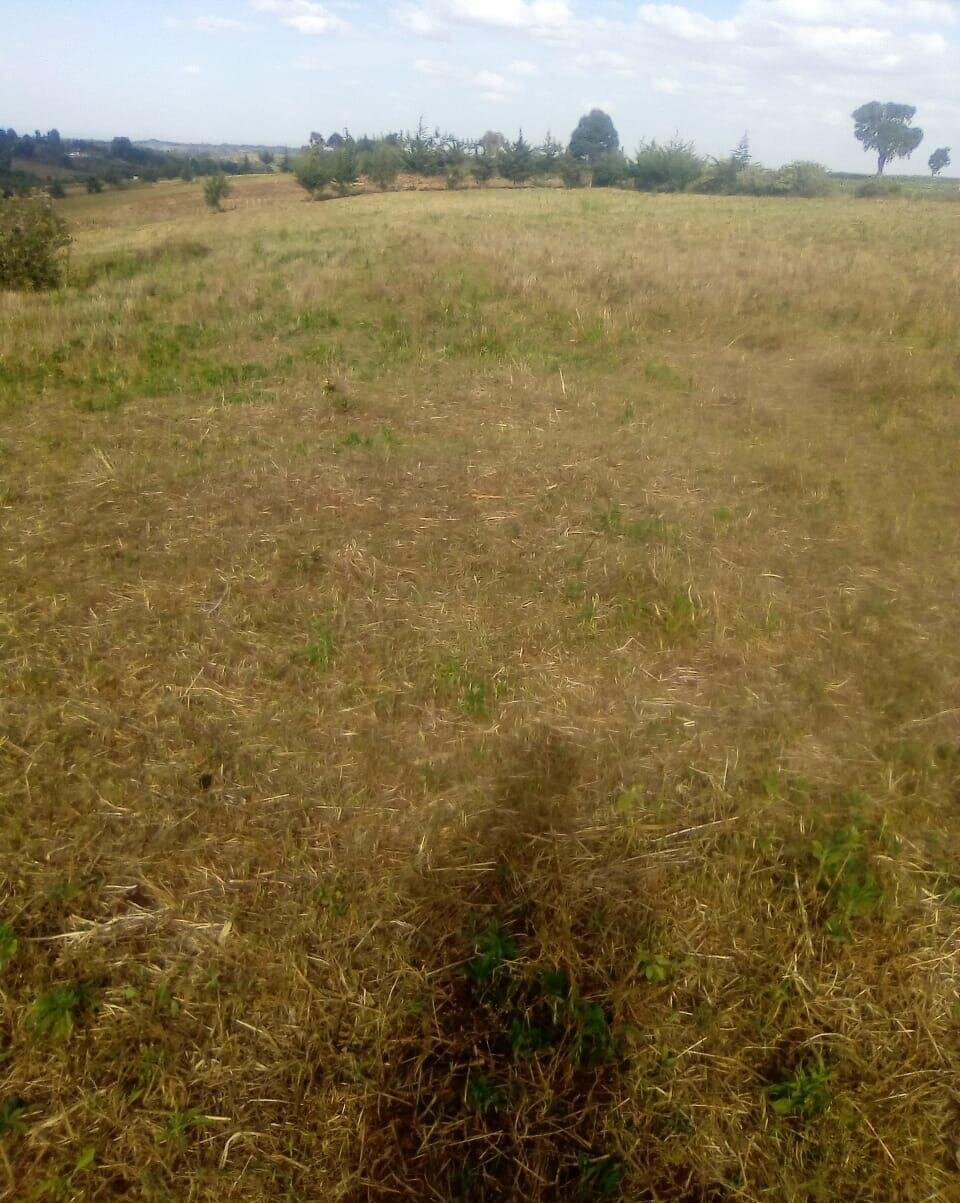 2.5-Acre Plot for KSh 3.5M