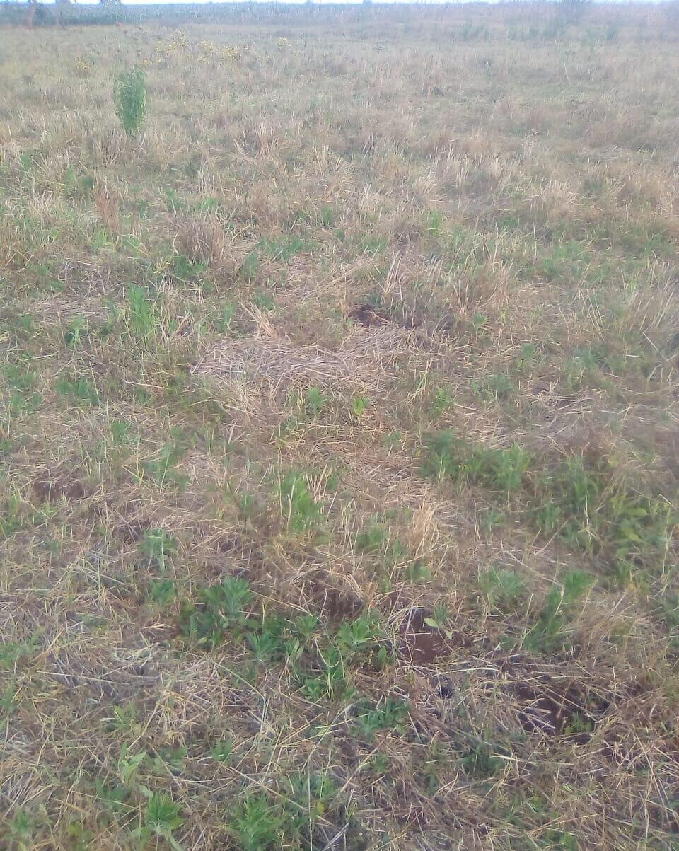 2.5-Acre Plot for KSh 3.5M