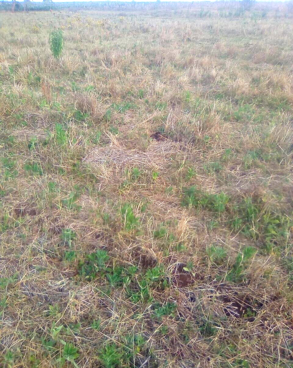 2.5-Acre Plot for KSh 3.5M