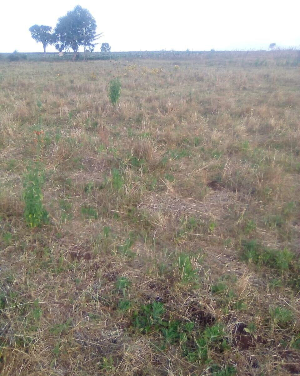2.5-Acre Plot for KSh 3.5M