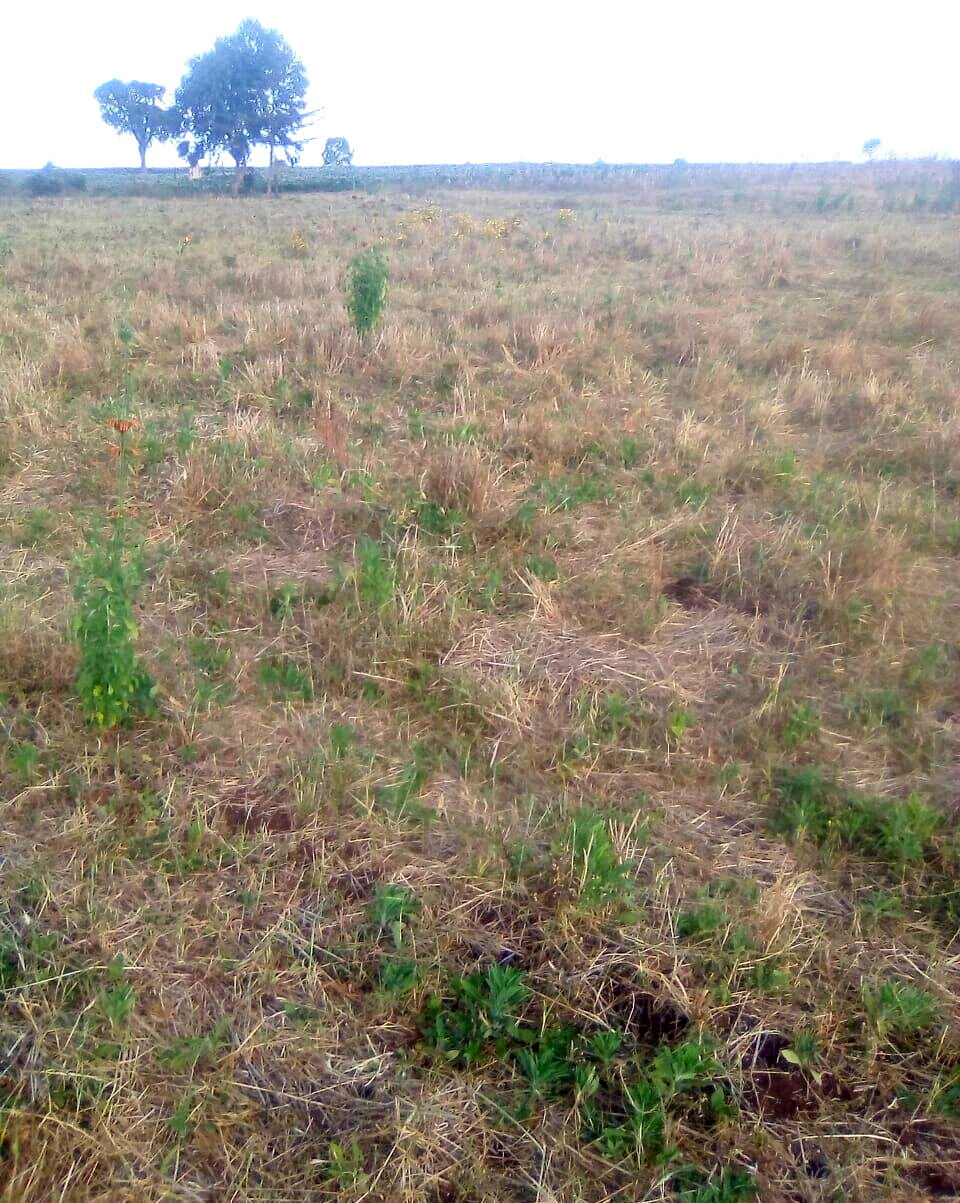 2.5-Acre Plot for KSh 3.5M