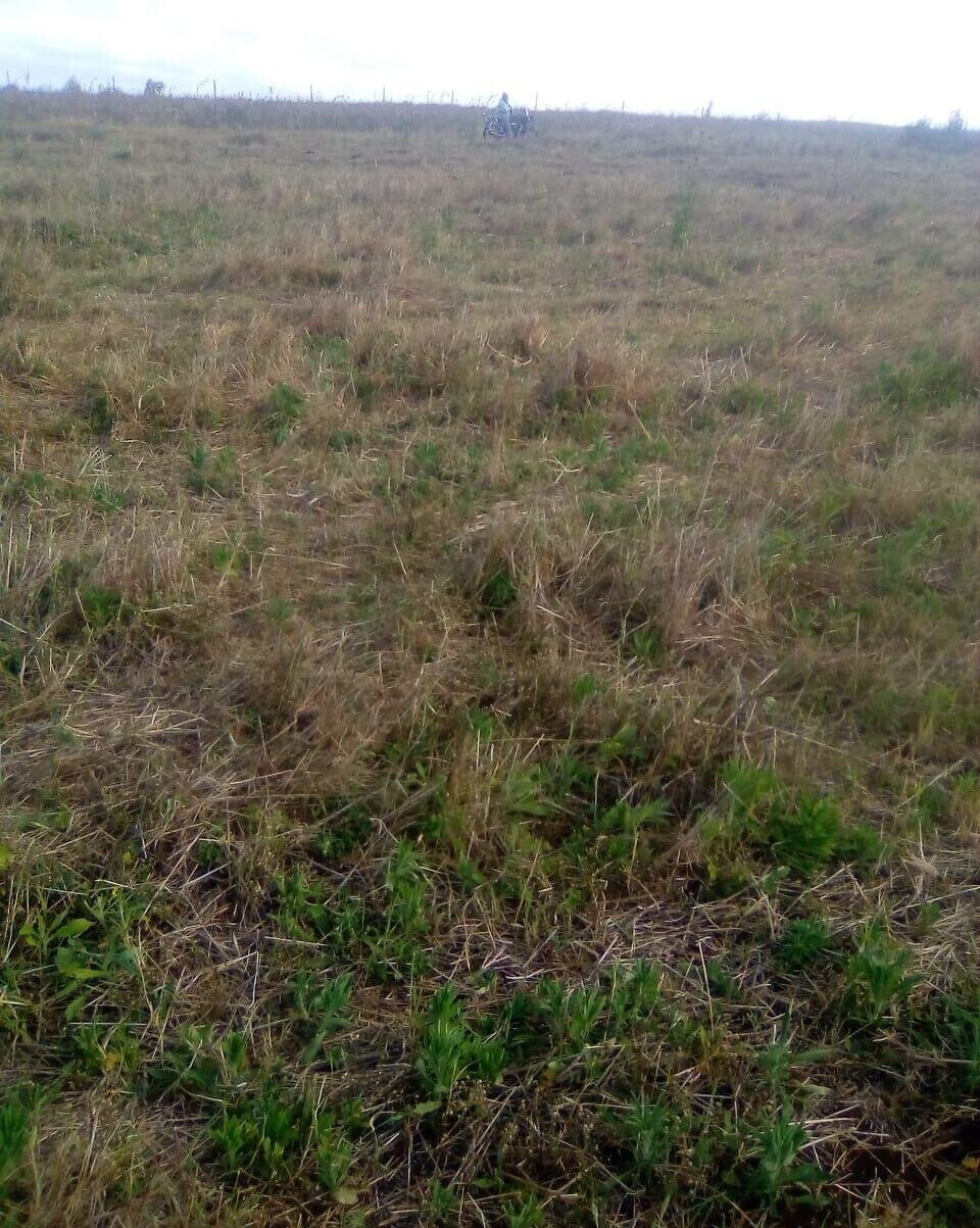 2.5-Acre Plot for KSh 3.5M