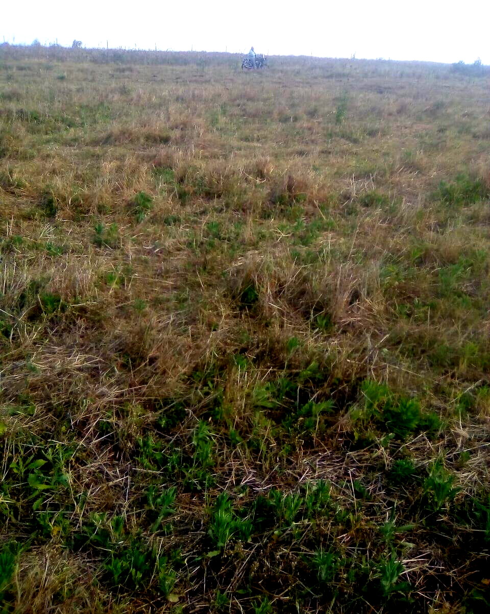 2.5-Acre Plot for KSh 3.5M
