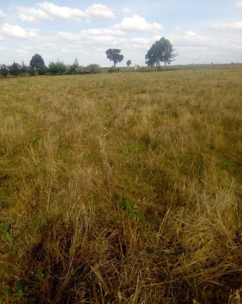 2.5-Acre Plot for KSh 3.5M