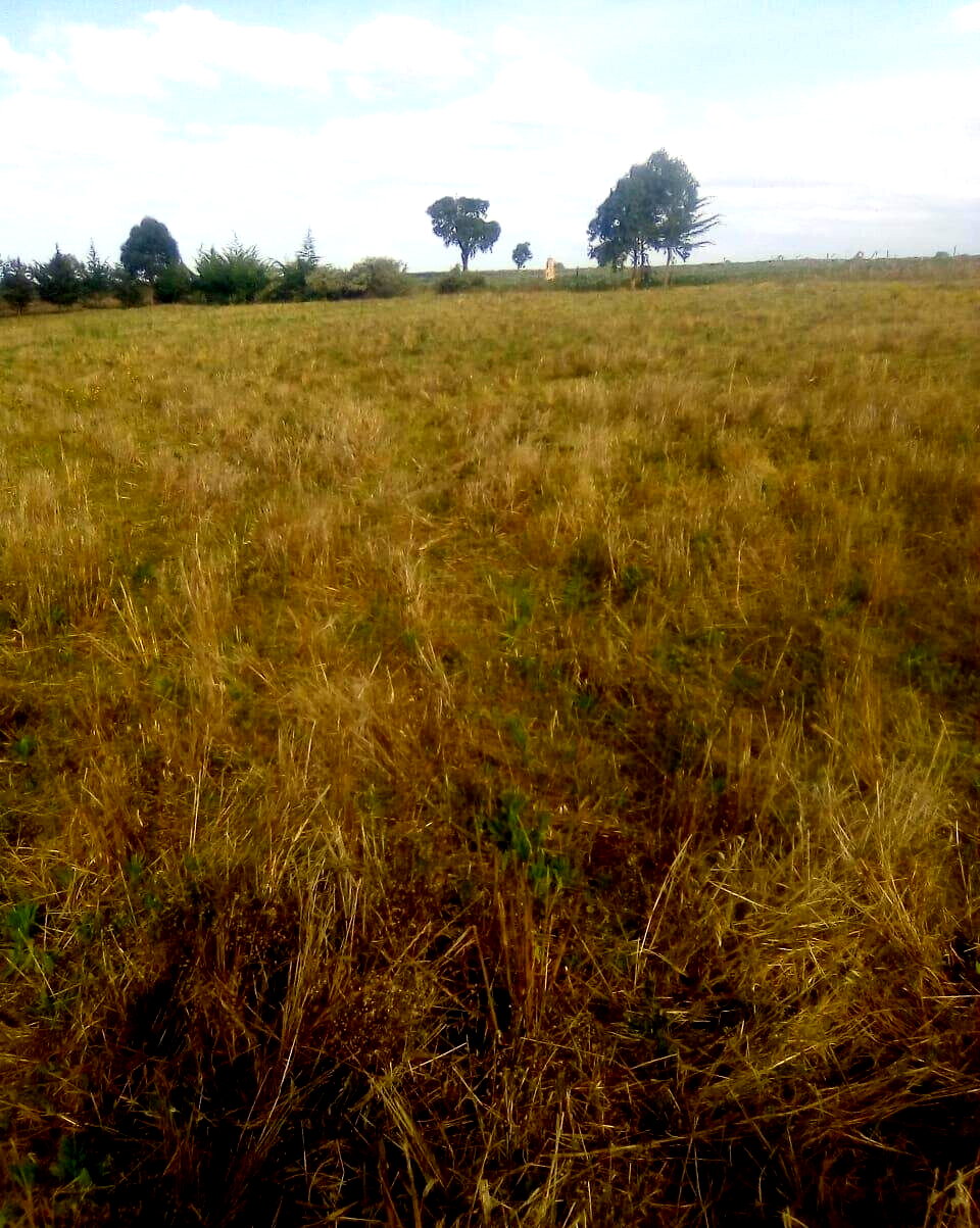 2.5-Acre Plot for KSh 3.5M