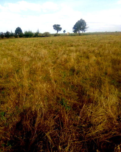 2.5-Acre Plot for KSh 3.5M
